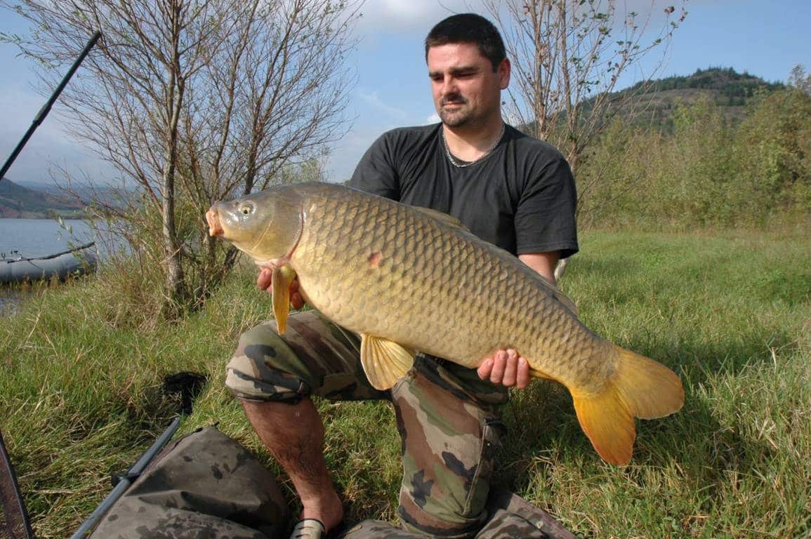 La pêche au coup à la grande canne