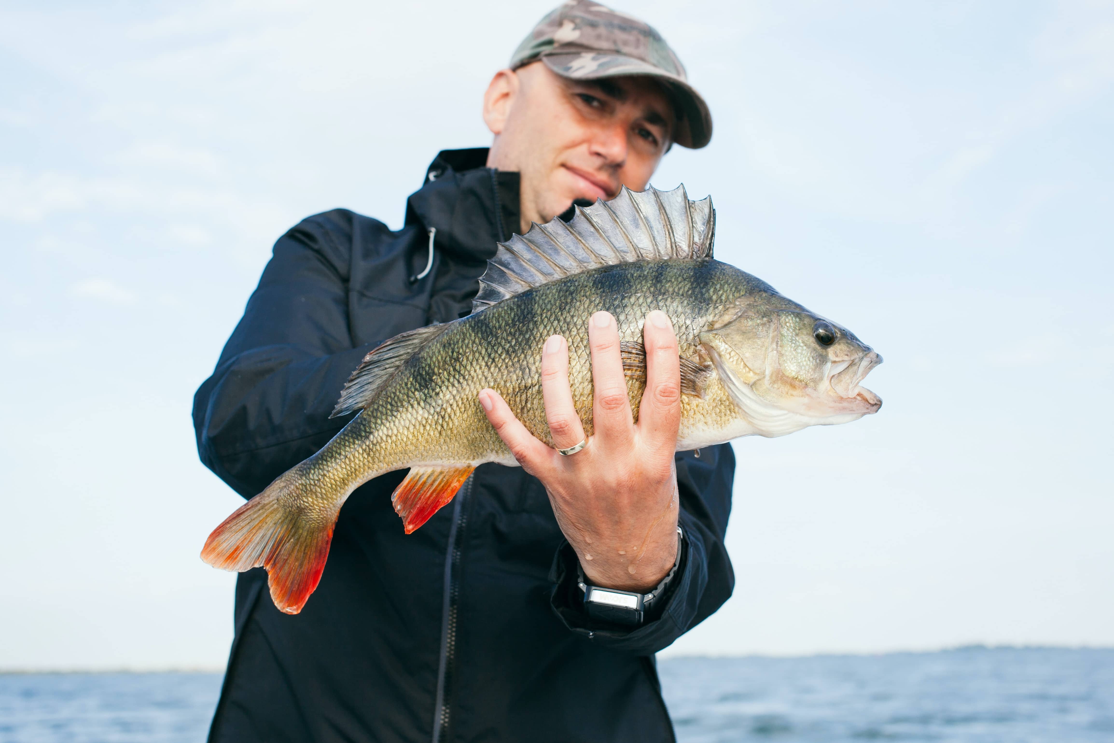 Pêche en mer : quelle taille pour vos leurres?