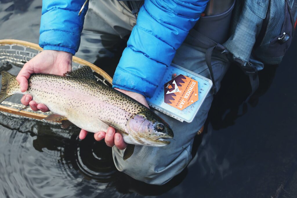 Quand pêcher quel poisson ?